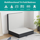  Furniture of America Hollyhock DM1004-Q 4" Queen Tri-Fold Memory Foam Topper IMAGE 6