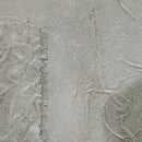  Renwil Sesamo OL2274 Wall Art IMAGE 2