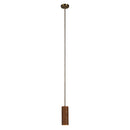  Renwil Rue LPC4510 Ceiling Fixture IMAGE 1