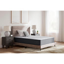  Ashley Sleep Anniversary Edition Plush M42121 Full Mattress IMAGE 7