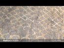 Surya Rugs Rectangle PLAT9018-58 EXTERNAL_VIDEO 1