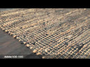 Surya Rugs Rectangle ADB1000-58 EXTERNAL_VIDEO 1