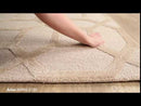 Surya Rugs Rectangle AWRS2130-576 EXTERNAL_VIDEO 1