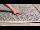 Surya Rugs Rectangle ING2000-576 EXTERNAL_VIDEO 1