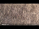 Surya Rugs Rectangle MIL5002-58 EXTERNAL_VIDEO 1