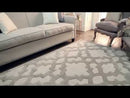 Surya Rugs Rectangle CAN-2041-58 EXTERNAL_VIDEO 1