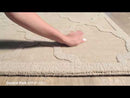 Surya Rugs Rectangle AWHP4021-576 EXTERNAL_VIDEO 1