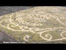 Surya Rugs Rectangle CAN1958-58 EXTERNAL_VIDEO 1