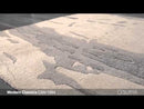 Surya Rugs Rectangle CAN1994-58 EXTERNAL_VIDEO 1