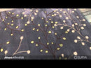 Surya Rugs Rectangle ATH5125-58 EXTERNAL_VIDEO 1