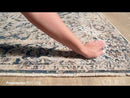 Surya Rugs Rectangle PDT2300-582 EXTERNAL_VIDEO 1