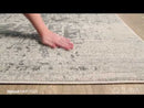 Surya Rugs Rectangle HAP1024-5373 EXTERNAL_VIDEO 1