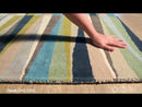 Surya Rugs Rectangle OAS1095-58 EXTERNAL_VIDEO 1